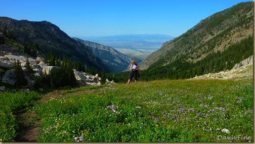 Elephant mountain hike_20090825_153