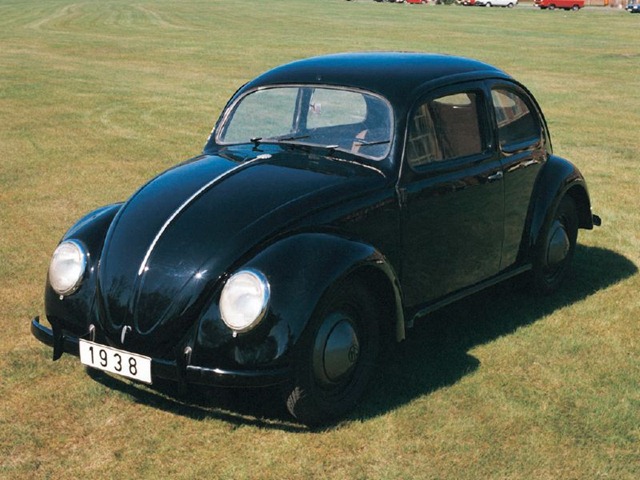 [beetle-1[4].jpg]