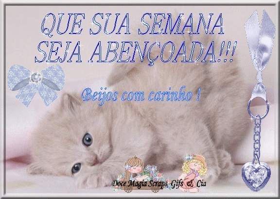 BsemanCat.gif