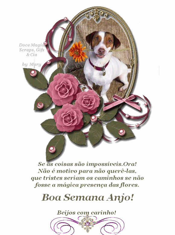 0BSemanadog.gif