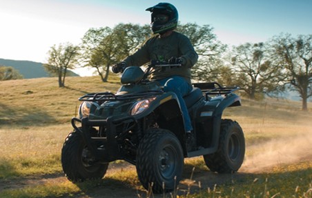 Arctic Cat, ATV, arctic cat atv, arctic cat atvs