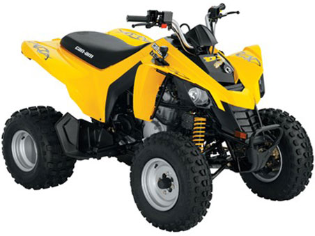 [can-am-ds-250-atv.jpg]
