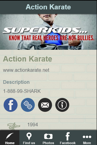 Action Karate