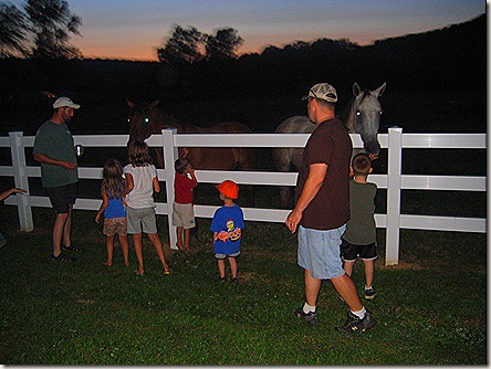 The kids petting the horses