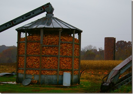 Corn crib, old grain silo and pumpkin patch