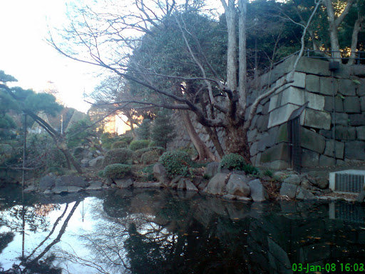 Forum Image: http://lh3.ggpht.com/_5FFzXDPeScw/R6XbiquTlTI/AAAAAAAAEIs/TPSfzCBkYwI/DSC01407.JPG