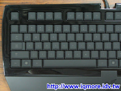 Razer Lycosa 黑腹狼蛛電競薄膜式鍵盤評測 - 老貓測3C