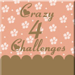 Crazy 4 Challenges Blog