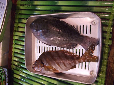 [ベスト] タカノハダイ 値段 345855-タカノハダイ 値段