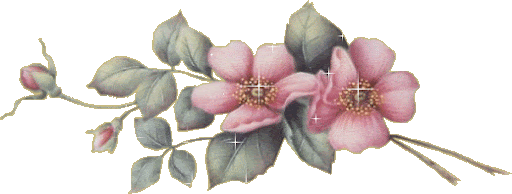 flores046.gif