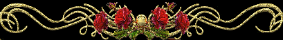 2008042.gif.gif
