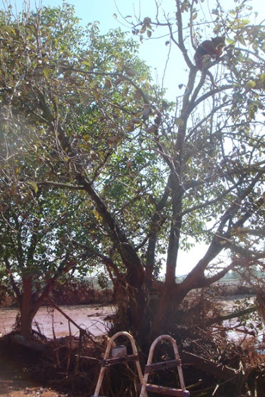 DSC03427.jpg
