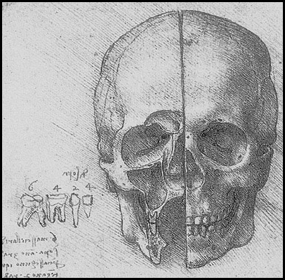 anatomia do crânio de Leonardo da Vinci 1510