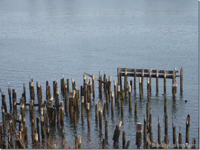 An old pier in the East River, directly opposite East River Plaza, on the other side of East River Drive. An old pier in the East River, directly opposite East River Plaza, on the other side of East River Drive.