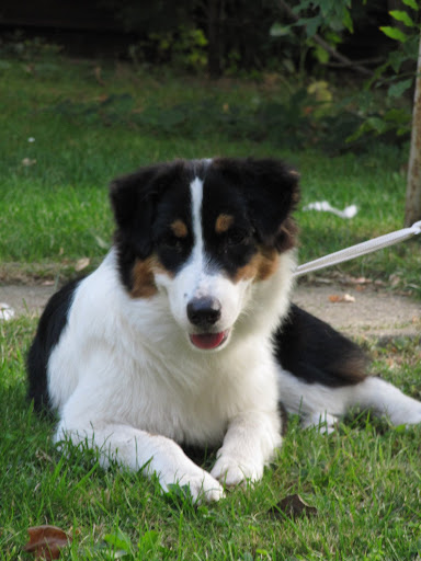 2009-08-17%201076.jpg