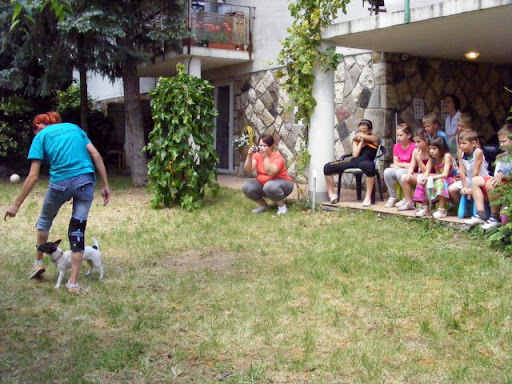 DSCF1231.jpg