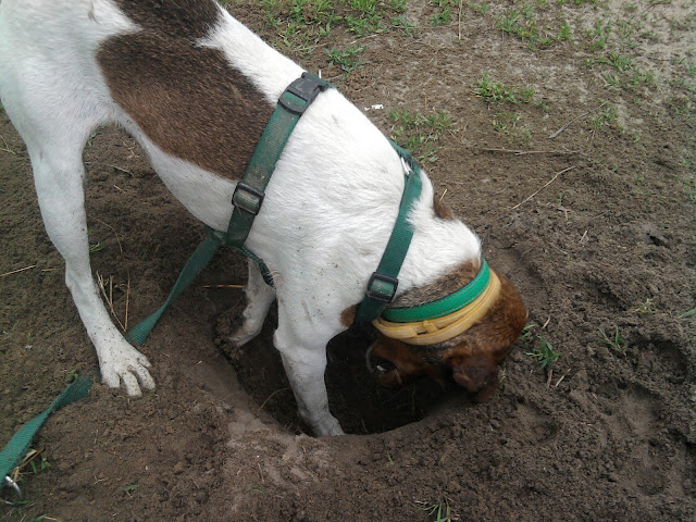 2010-05-03%2011.58.45.jpg