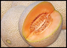 melon (1)