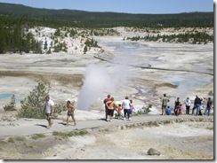 Norris Geyser 3