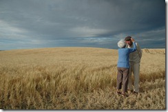 My grandfather was born and raised on our New Zealand farm. He and my grandmother were married nearly 60 years. Preparing for a photo in the barley, my grandmother lovingly reached up to adjust his hat. This was his last harvest. (Photo and caption by Gemma Collier)