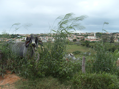 Blog de condeuba2 : Cantinho do Leitor..., ALGUMAS FOTOS DE CONDEÚBA