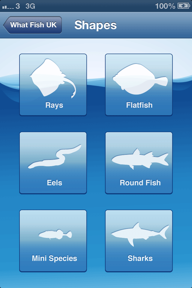 What Fish UK Screen 2