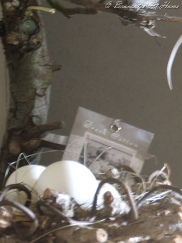 [maart 2010 007[7].jpg]