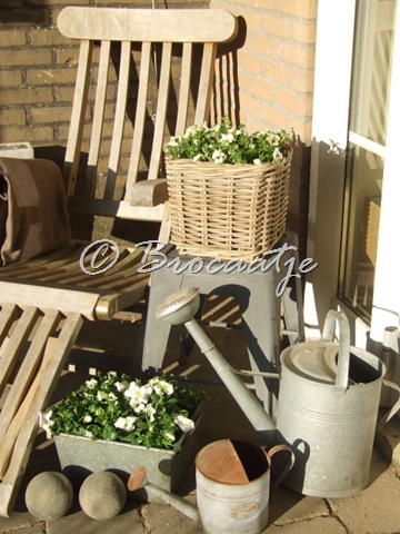 [tuin maart 2010 003[25].jpg]