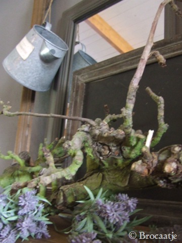 [april 2010 014[6].jpg]