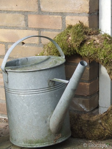 [april 2010 010[5].jpg]