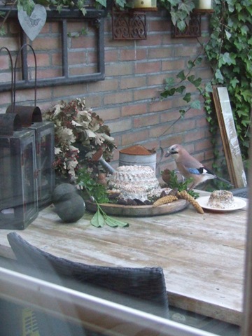 [vogeltaart 001[5].jpg]