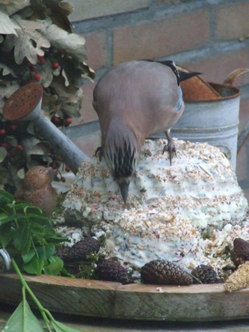 [vogeltaart 020[3].jpg]