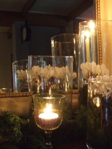 [december 2009 002[3].jpg]