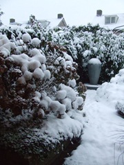 december 2009 015