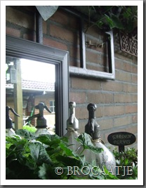 juni 2010 007