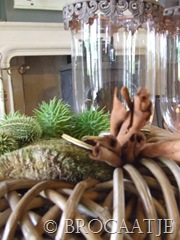 wonen september 2010 009