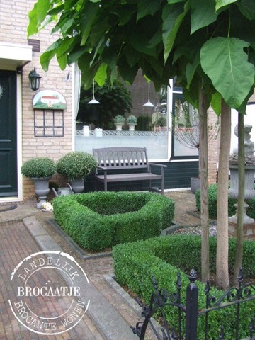 [voortuin 30 september 002[4].jpg]