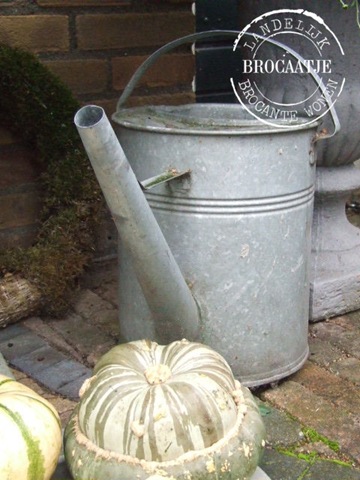 [voortuin 30 september 007[3].jpg]