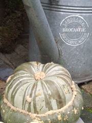 voortuin 30 september 009