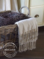 woonkamer november 2010 042