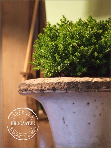 [winterse sferen 022[3].jpg]