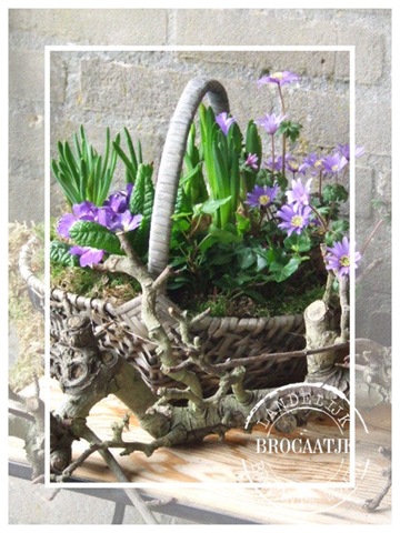 [maart 2011 002[4].jpg]