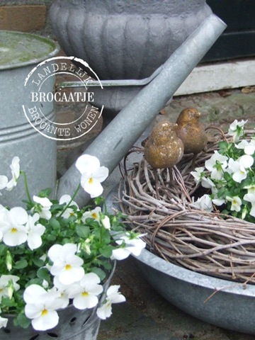 [maart 2011 010[3].jpg]