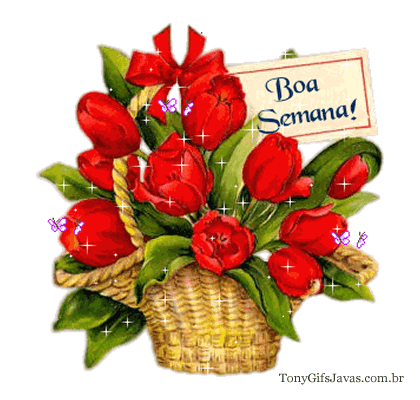 semana_037.gif