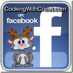 facebook logo-300