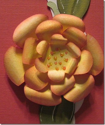 flower piecing closeup