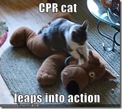 cat-CPR.