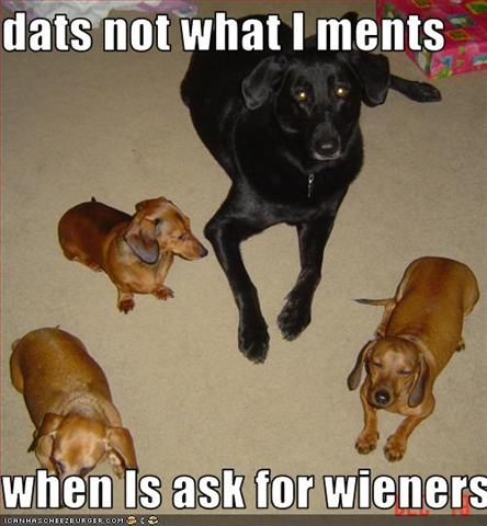 [I-ask-for-weiners (Small)[1].png]