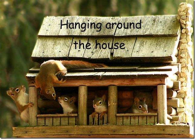 hanging-around-the-house (Small)-1