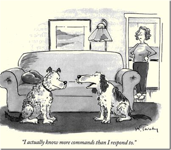 dog-knows-more-commands (Small)